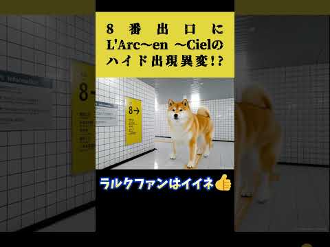 柴犬の考えるL'Arc〜en 〜Ciel #shorts