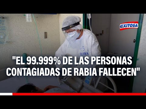 EsSalud: El 99.999% de las personas contagiadas de rabia fallecen