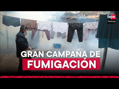 DENGUE en PERÚ: Minsa anuncia gran campaña de fumigación en PIURA