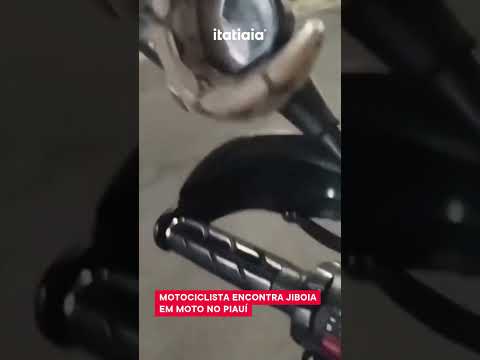 MOTOCICLISTA ENCONTRA JIBOIA EM MOTO NO PIAUÍ