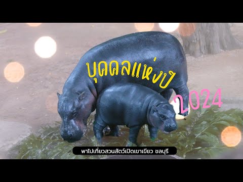 หมูเด้งบุคคลแห่งปี2024ผู้มีสไ