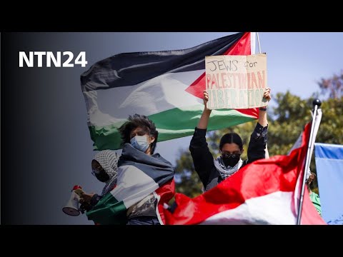 “Palestina quiere poner en la palestra su lucha en Estados Unidos”: experto en seguridad nacional