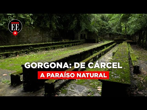 Gorgona la isla que pasó de prisión de máxima seguridad a paraíso natural | El Espectador
