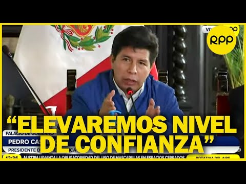 Delincuencia en Perú: ¿cuál es la labor del consejo nacional de seguridad ciudadana?