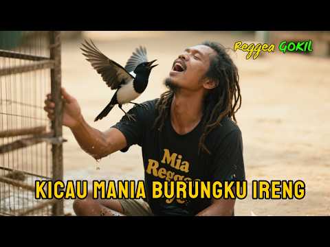 Kicau Mania Burungku Ireng bojoku galak 🌴🔥 Reggae Ska Reggae Gokil🌴🎶Lagu Lucu🌴 Cover Mia Reggae Uye