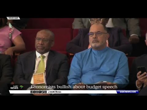 MTBPS 2024 | Godongwana likely to push for greater fiscal discipline, controlled spending