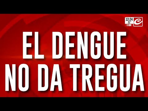 El dengue no da tregua: ¿Cómo es la situación en Salta?