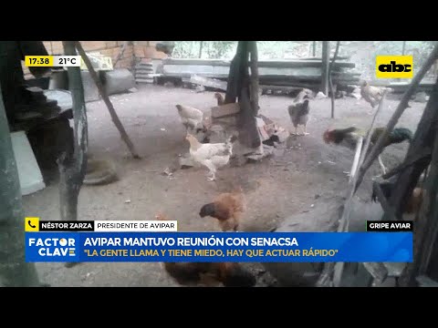 Gripe aviar: Avipar mantuvo reunión con Senacsa