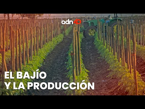 Bajío | Participación Empresarial 2023