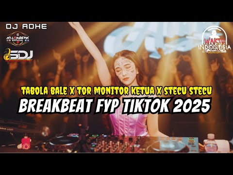 DJ BREAKBEAT FYP TIKTOK 2025 - TABOLA BALE X TOR MONITOR KETUA X STECU STECU - DJ ADHE