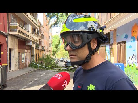 Cae la rama de un árbol en Madrid sin causar heridos ni daños materiales