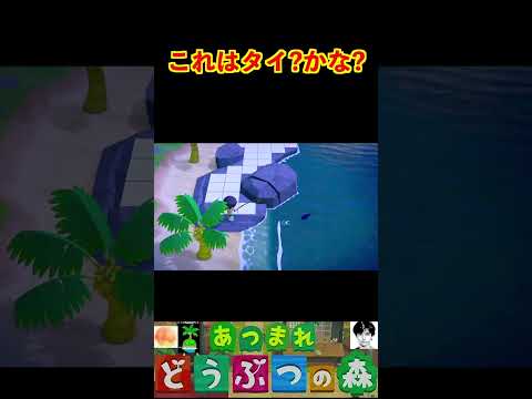これはタイ?かな? #あつまれどうぶつの森 #shorts #あつ森