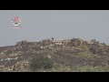 مشاهد توثق جانباً من معارك قوات العمالقة خلال العملية العسكرية التي أطلقتها اليوم في محافظة #البيضاء