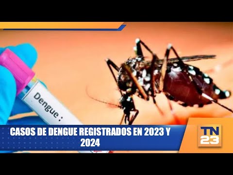 Casos de dengue registrados en 2023 y 2024