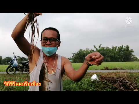 ปักเบ็ดหมายนี้ไซส์ใหญ่-ใส่เยื่ ปักเบ็ดหมายนี้ไซส์ใหญ่-ใส่เยื่