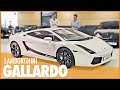 QUE FAUT-IL SAVOIR AVANT D'ACHETER UNE LAMBORGHINI GALLARDO