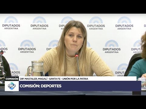 COMISIÓN EN VIVO: DEPORTES - 3 de julio de 2024 - Diputados Argentina