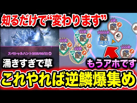 【神イベすぎるぞ】土日回る方は”このポイント”だけは押さえておきましょう【モンハンNow】