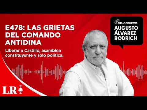 E478: Las grietas del Comando Antidina, por Augusto Álvarez Rodrich