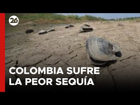Colombia sufre la peor sequía en años | #26Global