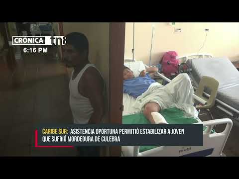 Caribe Sur: Rescate y recuperación de un joven con mordedura de serpiente - Nicaragua