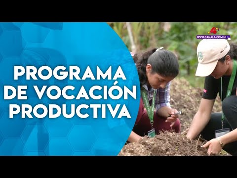 Nicaragua lanza segunda edición del Programa Nacional de Vocación Productiva