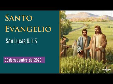 Evangelio del 9 de setiembre del 2023 según San Lucas 6, 1-5