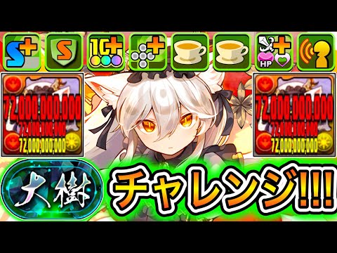 【最強】棘と猛毒と超重力を完全無効化させる『メイドイルミナ』編成で『大樹チャレンジ』に挑戦したらやばすぎた！！！！ 【パズドラ メイド 執事】