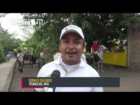 Realizan carnaval de la producción en la Isla de Ometepe - Nicaragua