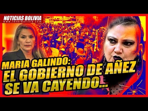 ? Maria Galindo: Jeanine Áñez se esta cayendo No renuncia porque no saben a quien entregar el país