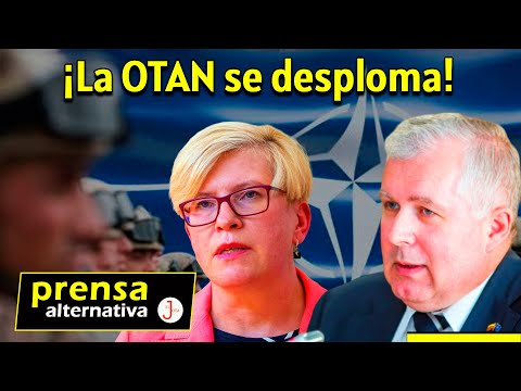 Renuncia del Ministro de Defensa lituano sacude los cimientos de la OTAN