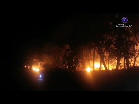 Más de dos mil has afectadas por incendio en Tierra Nueva y Santa María del Río