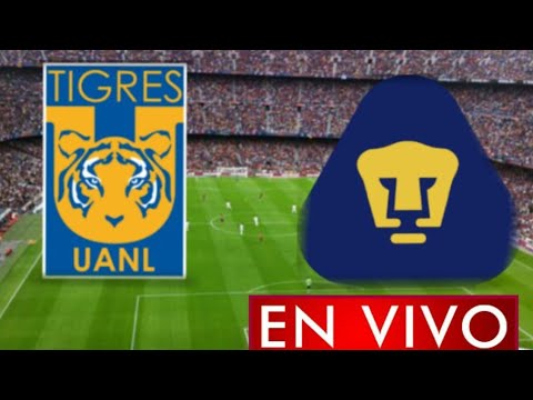 Donde ver Tigres vs. Pumas en vivo, por la Jornada 10, Liga MX 2021