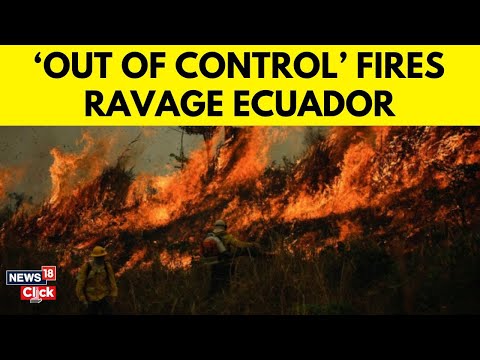 Wildfires Ravage Quito: Citizens Unite to Combat Fires | Ecuador Crisis Update | Ecuador Under Fire