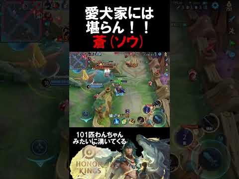 【HOK-蒼(ソウ)】犬好きには堪らない！使わずにいられないキャラ！犬可愛い#hok #オナーオブキングス#karuo #かるぉ#fyp