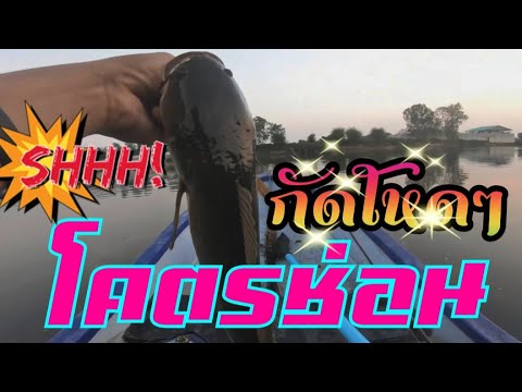 เหยื่อยางโดดน้ำได้!!!!ปลาช่อนว เหยื่อยางโดดน้ำได้!!!!ปลาช่อนว