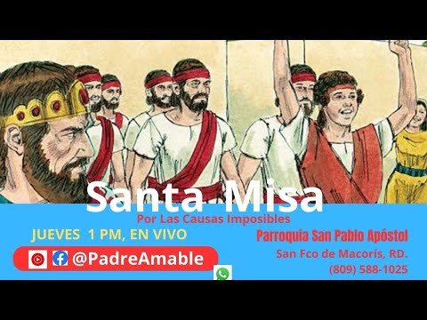 Santa Misa de hoy jueves 18 de enero 2024, POR LAS CAUSAS IMPOSIBLES