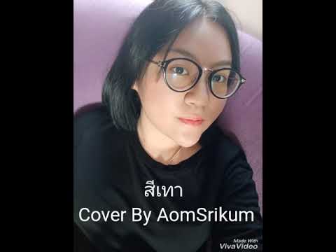 สีเทา-|AOMSRIKUM|(COVERVERSI