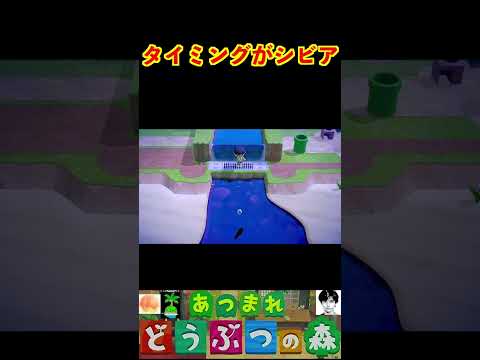 タイミングがシビア #あつまれどうぶつの森 #shorts #あつ森