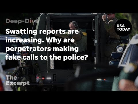 Swatting reports are increasing. Why are perpetrators making fake calls to the police? | The Excerpt