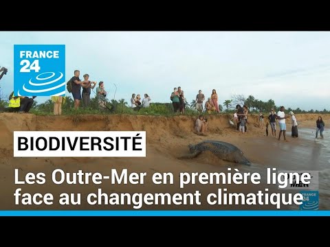 Biodiversité : les Outre-Mer en première ligne face au changement climatique • FRANCE 24
