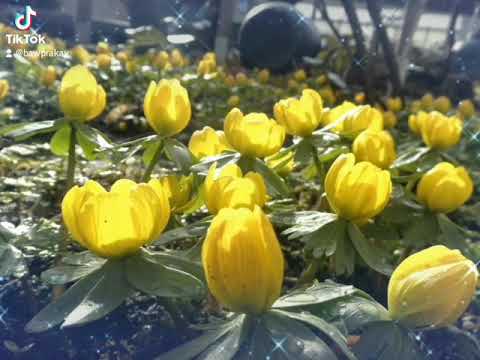 สวัสดีเช้าวันใหม่_วันจันทร์-#ข สวัสดีเช้าวันใหม่_วันจันทร์-#ข