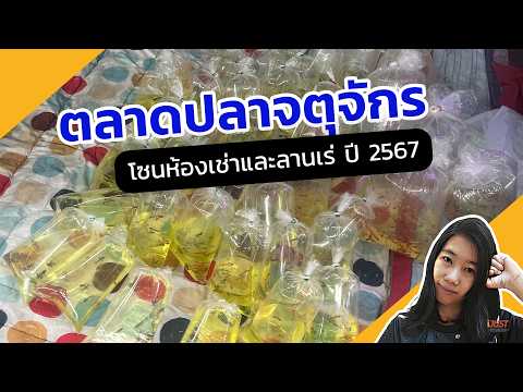 iJUSTreview พาทัวร์ตลาดปลาจตุจักรตลาดปลาลานเร่วันพุธดูปลาปลากัดสัตว์น้ำห