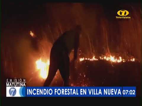 Incendio forestal en Villa Nueva