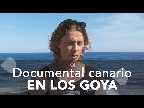 El documental 'Daida, Back to the Ocean', candidato a los Premios Goya