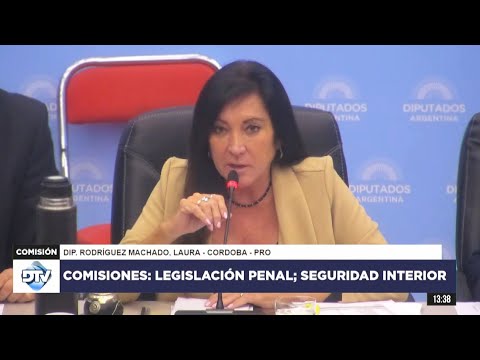 COMISIÓN EN VIVO: PLENARIO | 8 de mayo de 2024 - Diputados Argentina