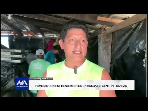 Emprendimientos hacen frente a situación económica en NIcaragua