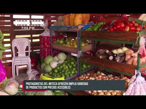 Moderno Mercadito Campesino en Managua con amplia variedad y buenos precios - Nicaragua