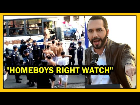 Homeboys Right Watch es la respuesta del presidente | Siguen los operativos
