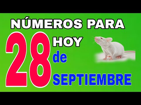 Números para jugar y ganar el día de Hoy 28 de Septiembre